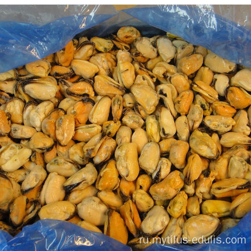 Высокое качество замороженных морепродуктов Shell Green Mussel для продажи